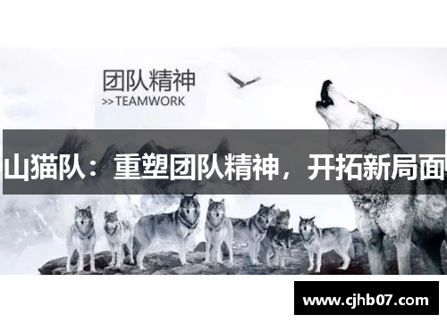 山猫队:重塑团队精神,开拓新局面
